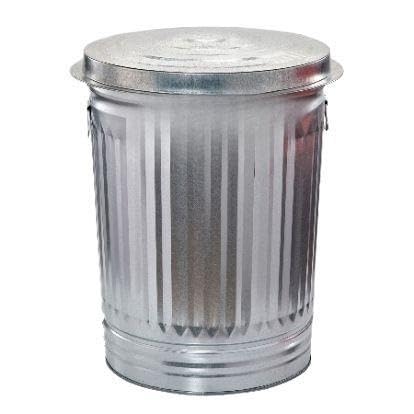 31-Gallon Galvanized Steel Trash Can with Lid D248548