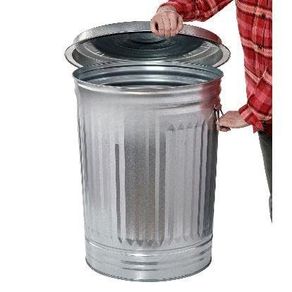 31-Gallon Galvanized Steel Trash Can with Lid D248548