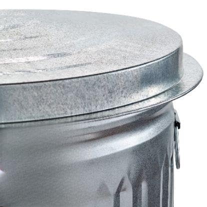 31-Gallon Galvanized Steel Trash Can with Lid D248548