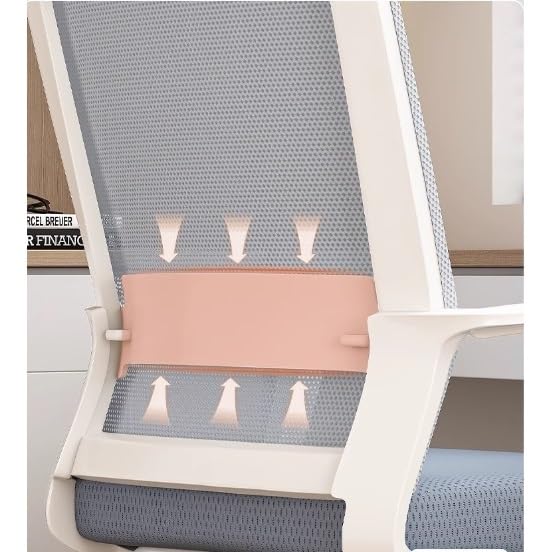 Ergonomic Breathable Mesh Office Chair F5713