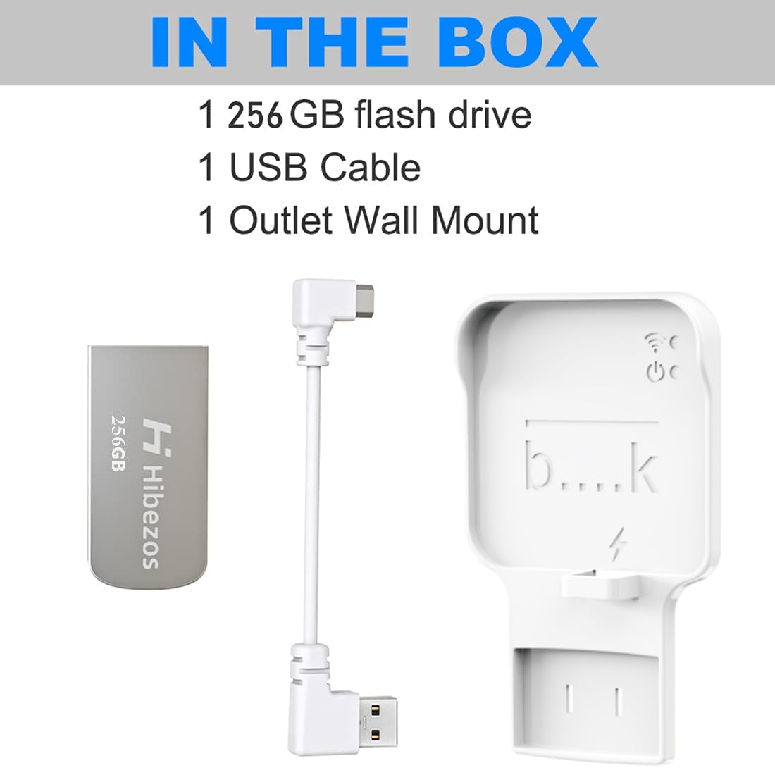 256GB USB Flash Drive & Outlet Mount B734562