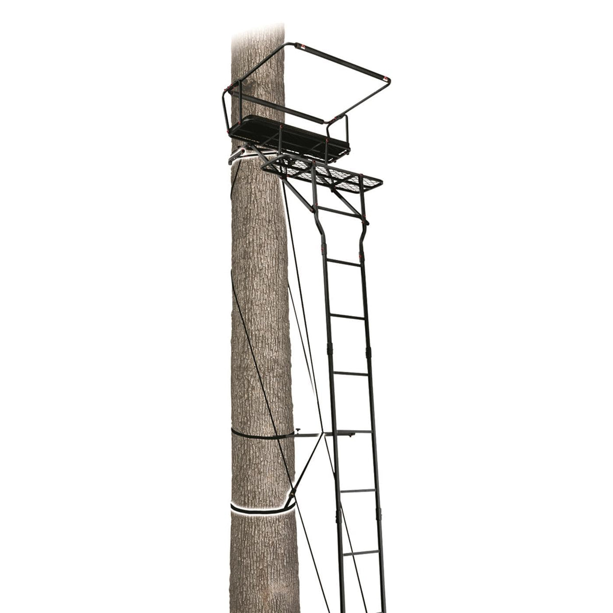 15’ Two-Person Ladder Tree Stand W6449