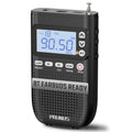 Portable AM FM Radio N466