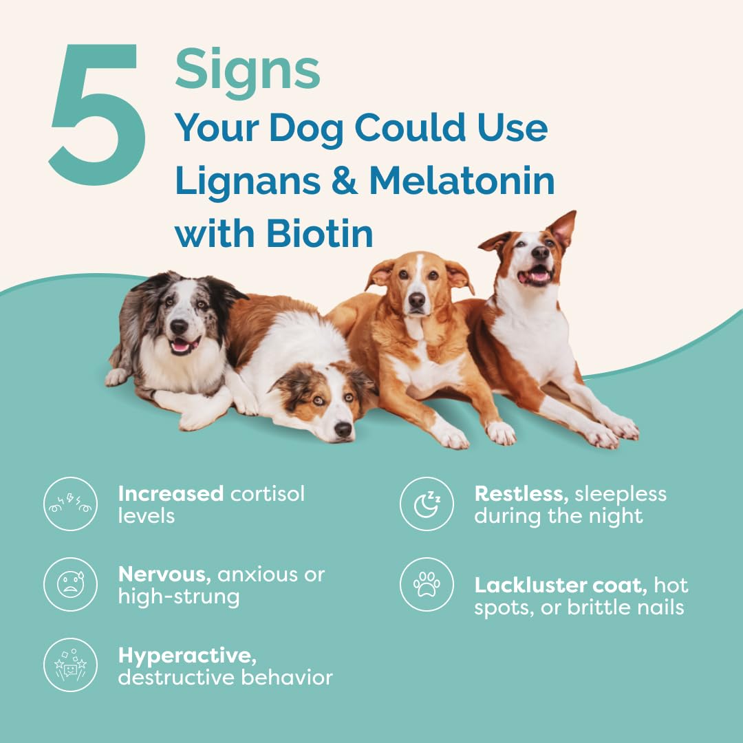 Lignans & Melatonin with Biotin Blend for Dogs Over 25 lb X154