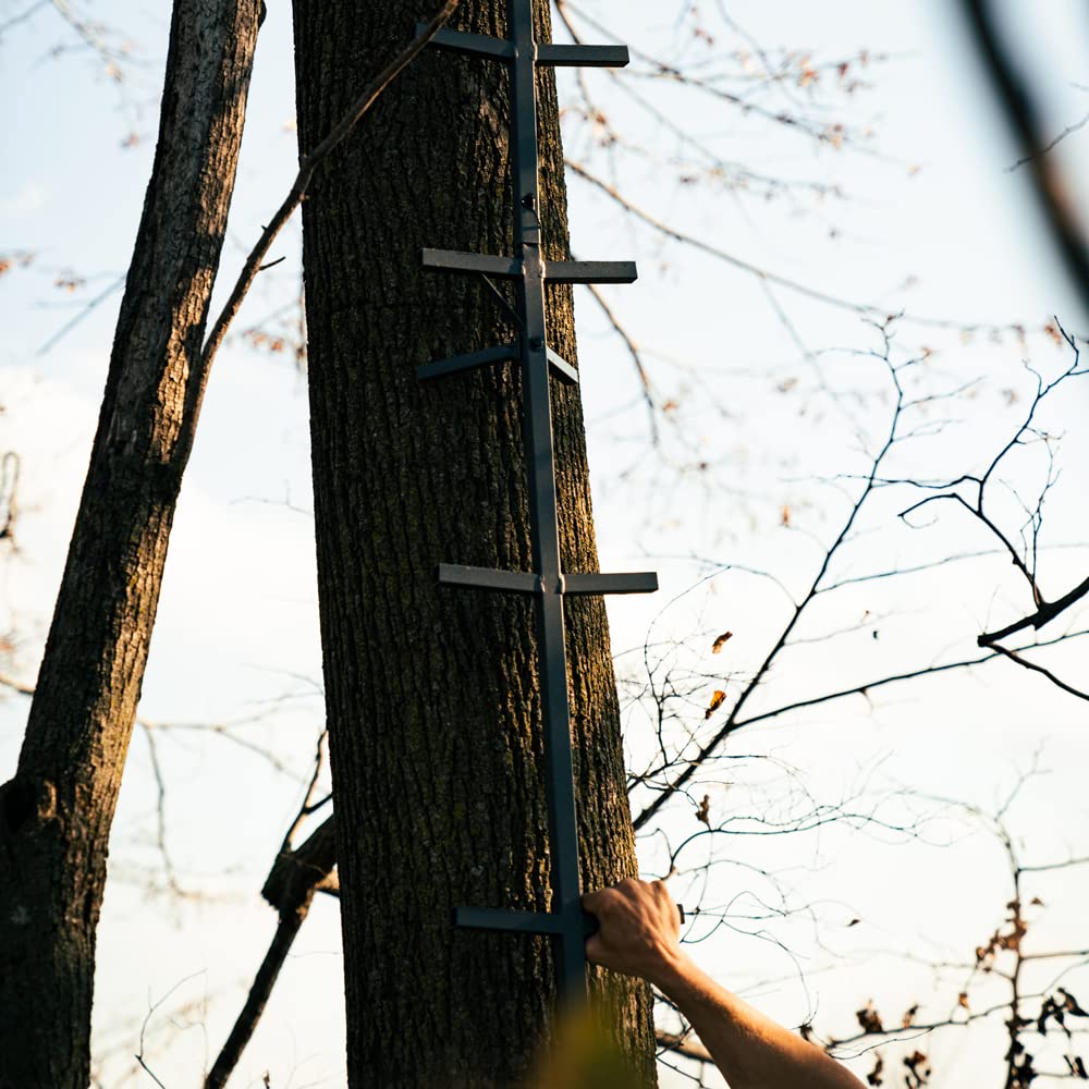 Tree Climbing System with Non-Slip Coating E488028