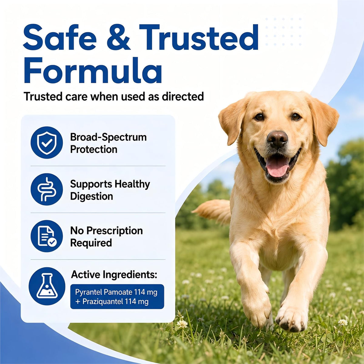 Dog Dewormer Tablets 48 Count O5870