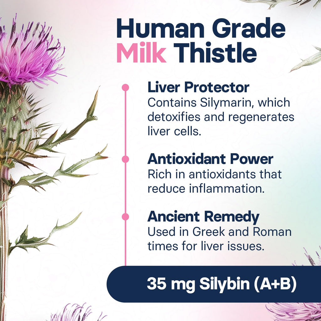 Milk Thistle Liver Health Supplement 30 Tablets E54786