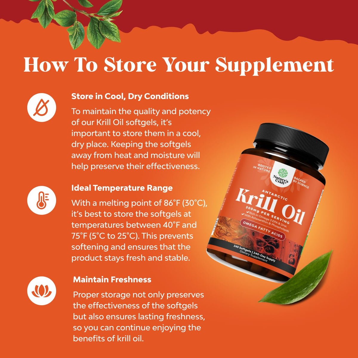 Krill Oil Softgels Omega 3 Supplement 240 Count E501