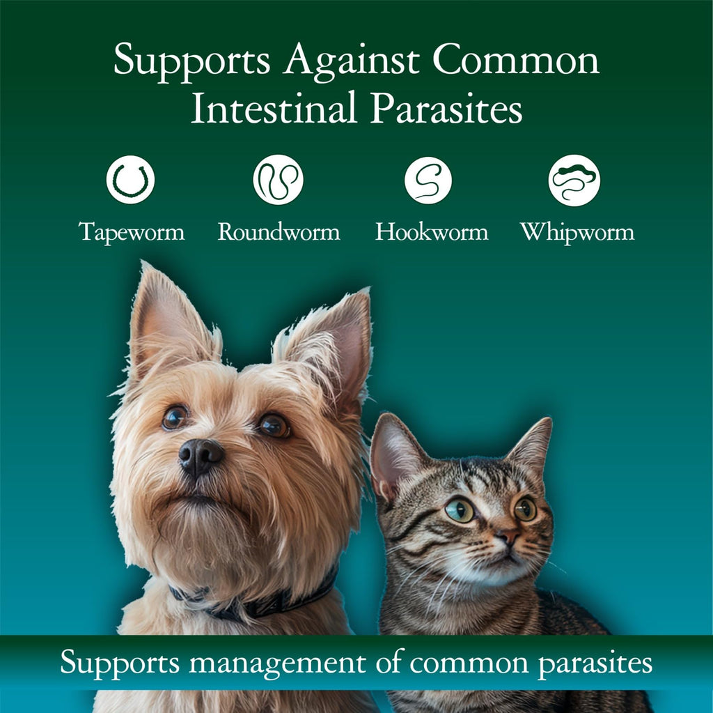 4 oz Vanilla Flavour Liquid Dog & Cat Dewormer with Syringe X219113