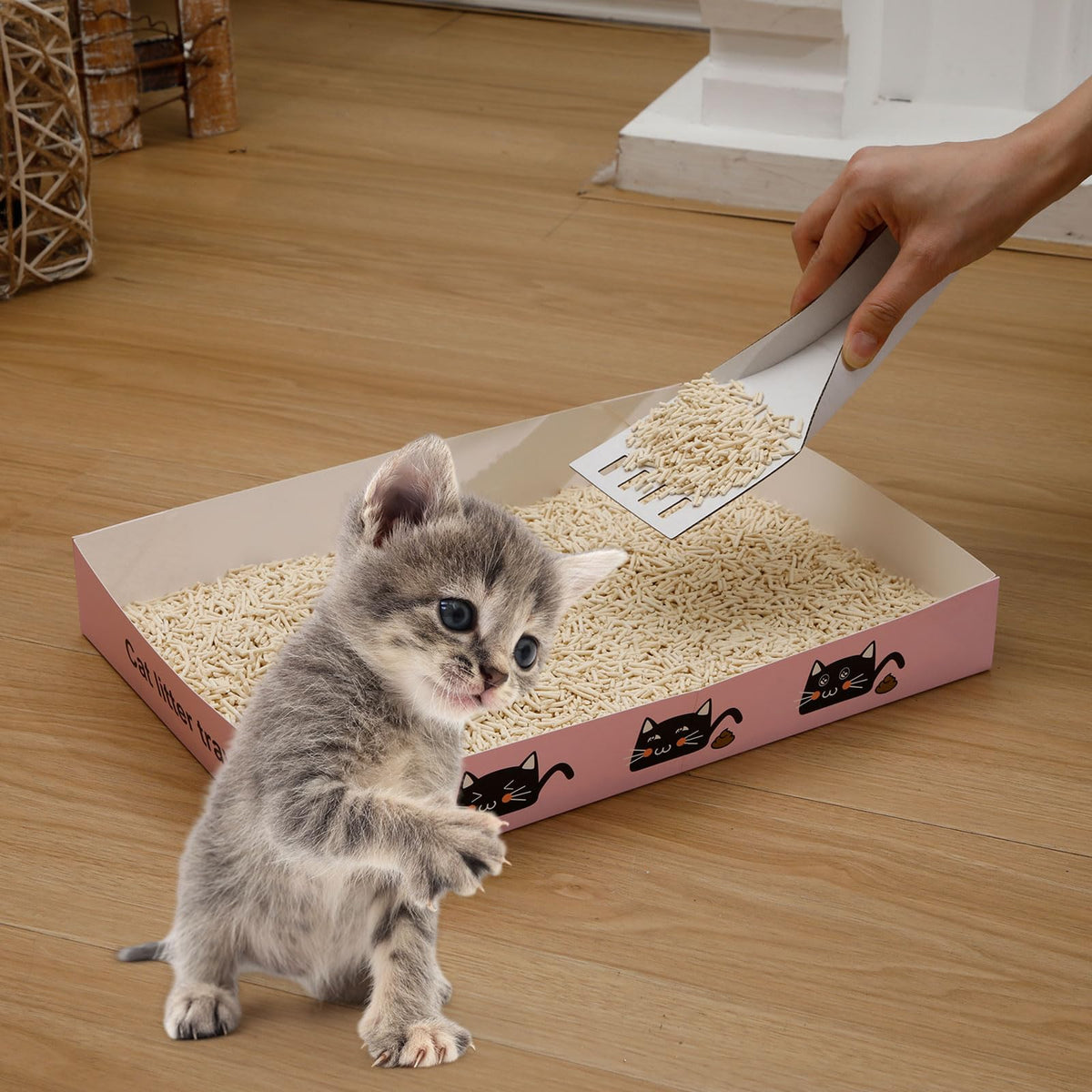 60 Pcs Disposable Cat Litter Boxes with Scoops U71205