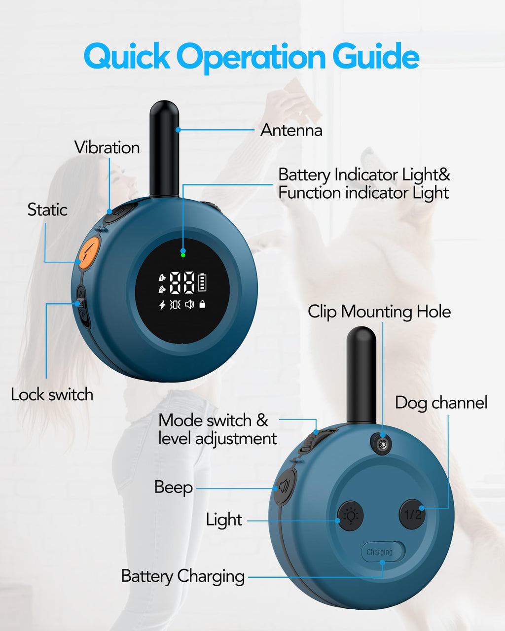 Dog Training Collar with Remote P353086