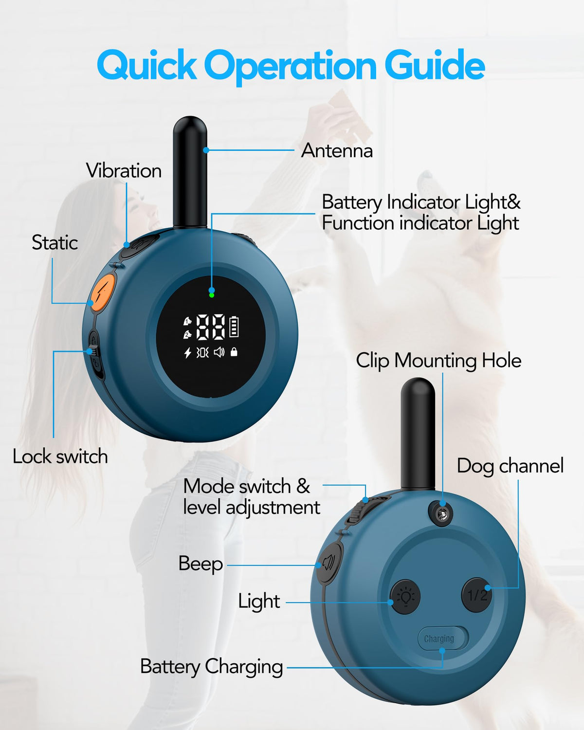 Dog Training Collar with Remote P353086