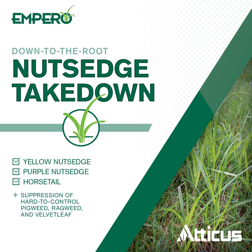 Nutsedge Killer Herbicide Concentrate H233