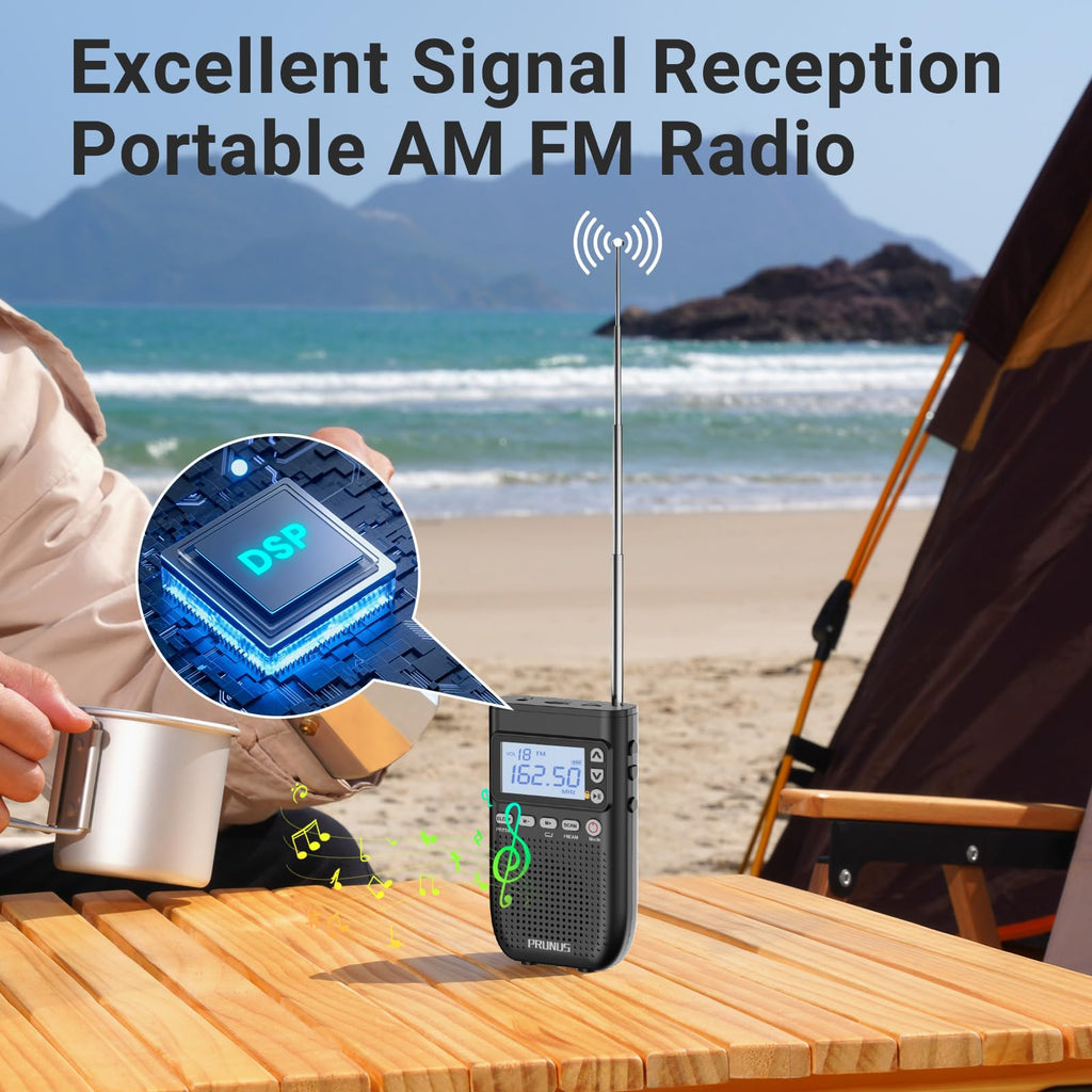 Portable AM FM Radio N466