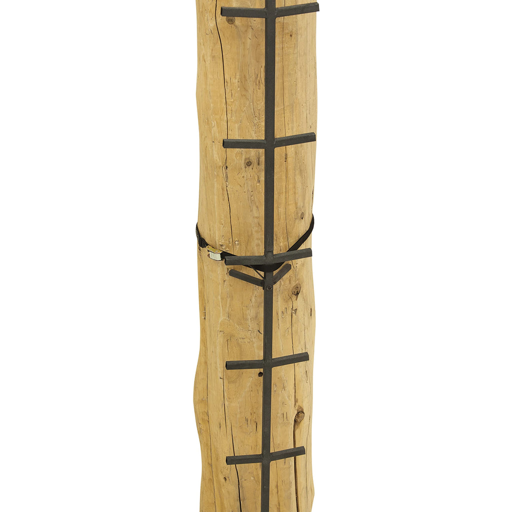 Tree Climbing System with Non-Slip Coating E488028