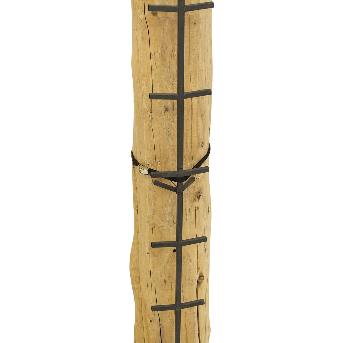 Tree Climbing System with Non-Slip Coating E488028