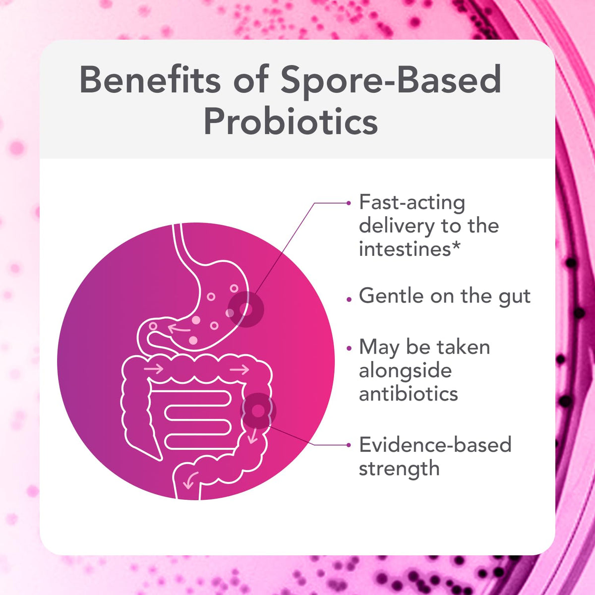 30 Count Spore Probiotic A80162