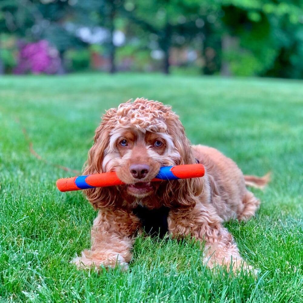 Interactive Dog Toy T819