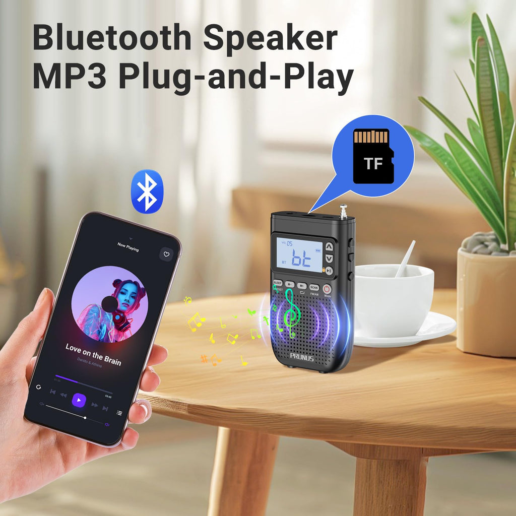 Portable AM FM Radio N466