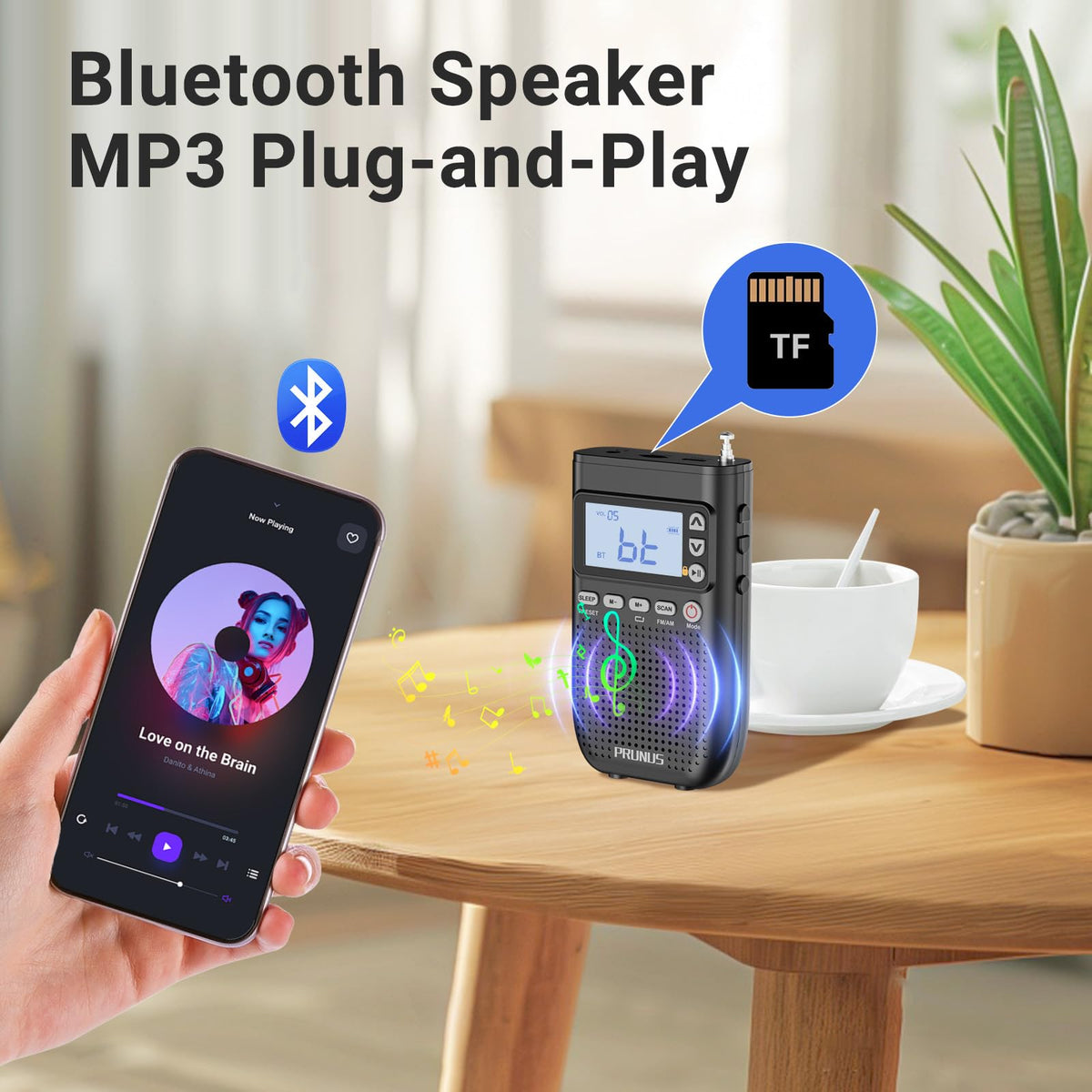 Portable AM FM Radio N466