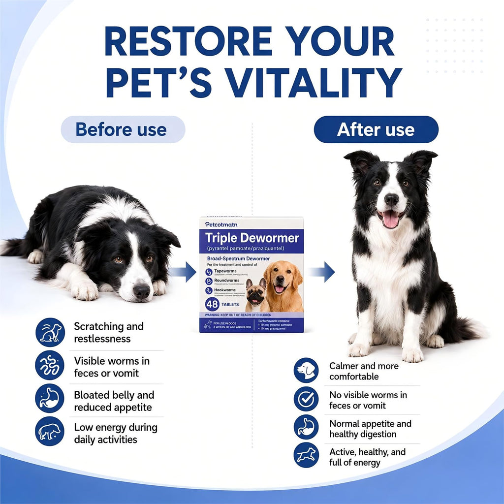 Dog Dewormer Tablets 48 Count O5870