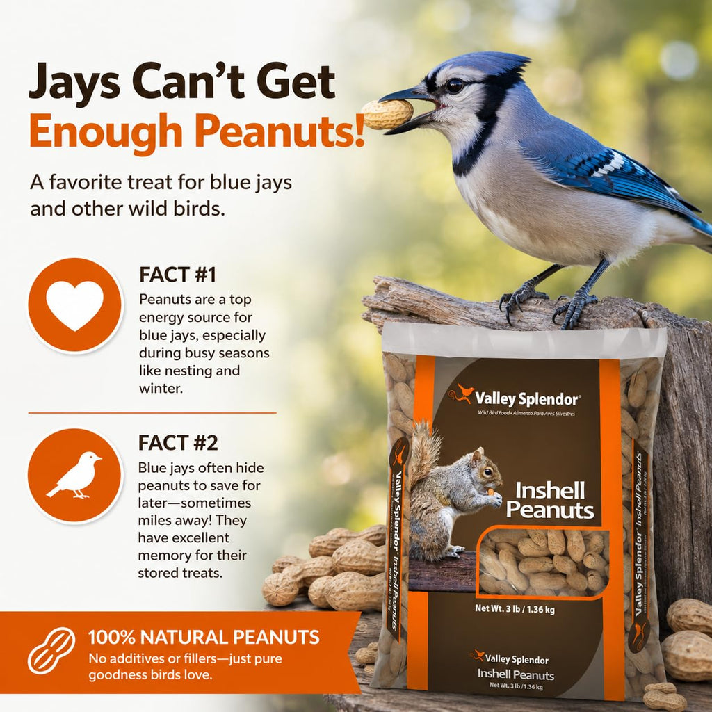 Peanuts In A Shell 3lbs A570