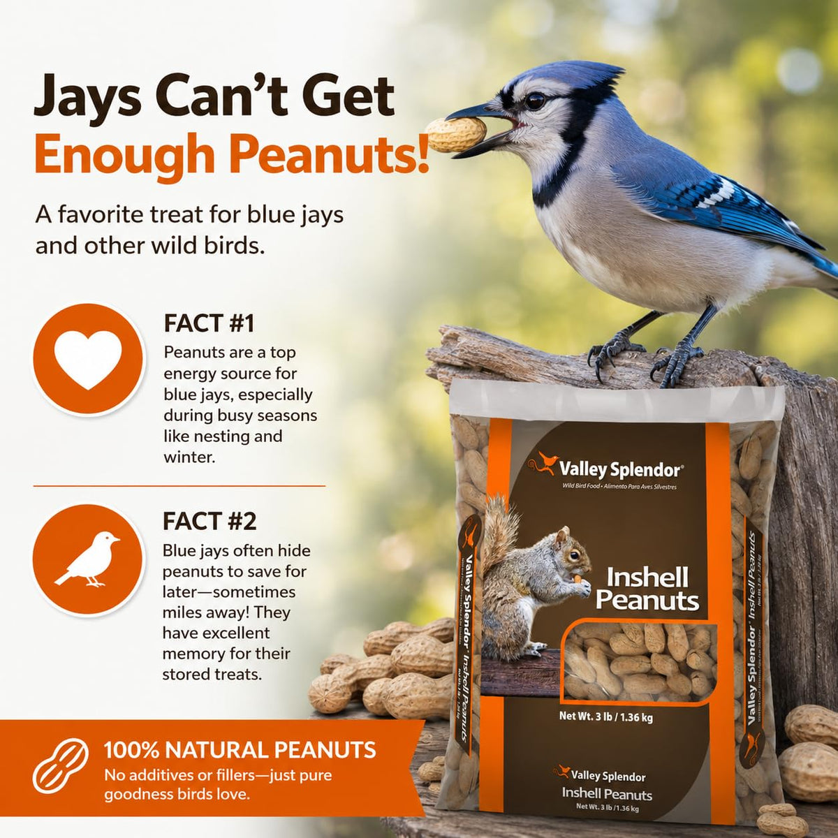 Peanuts In A Shell 3lbs A570