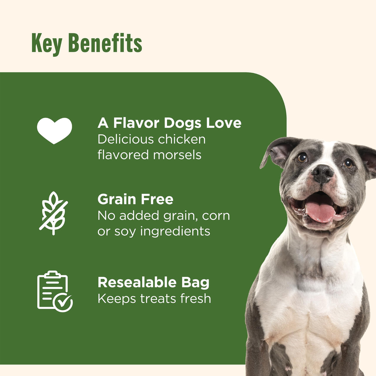 Chicken Dog Treats 30 oz Pouch R4923