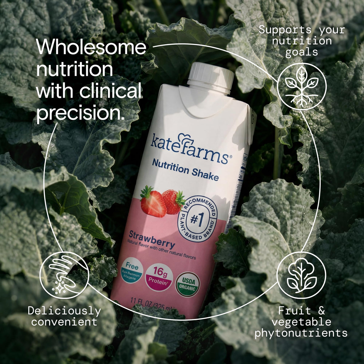 Organic Nutrition Shake, Strawberry, 16g Protein, 12 Pack Y63413