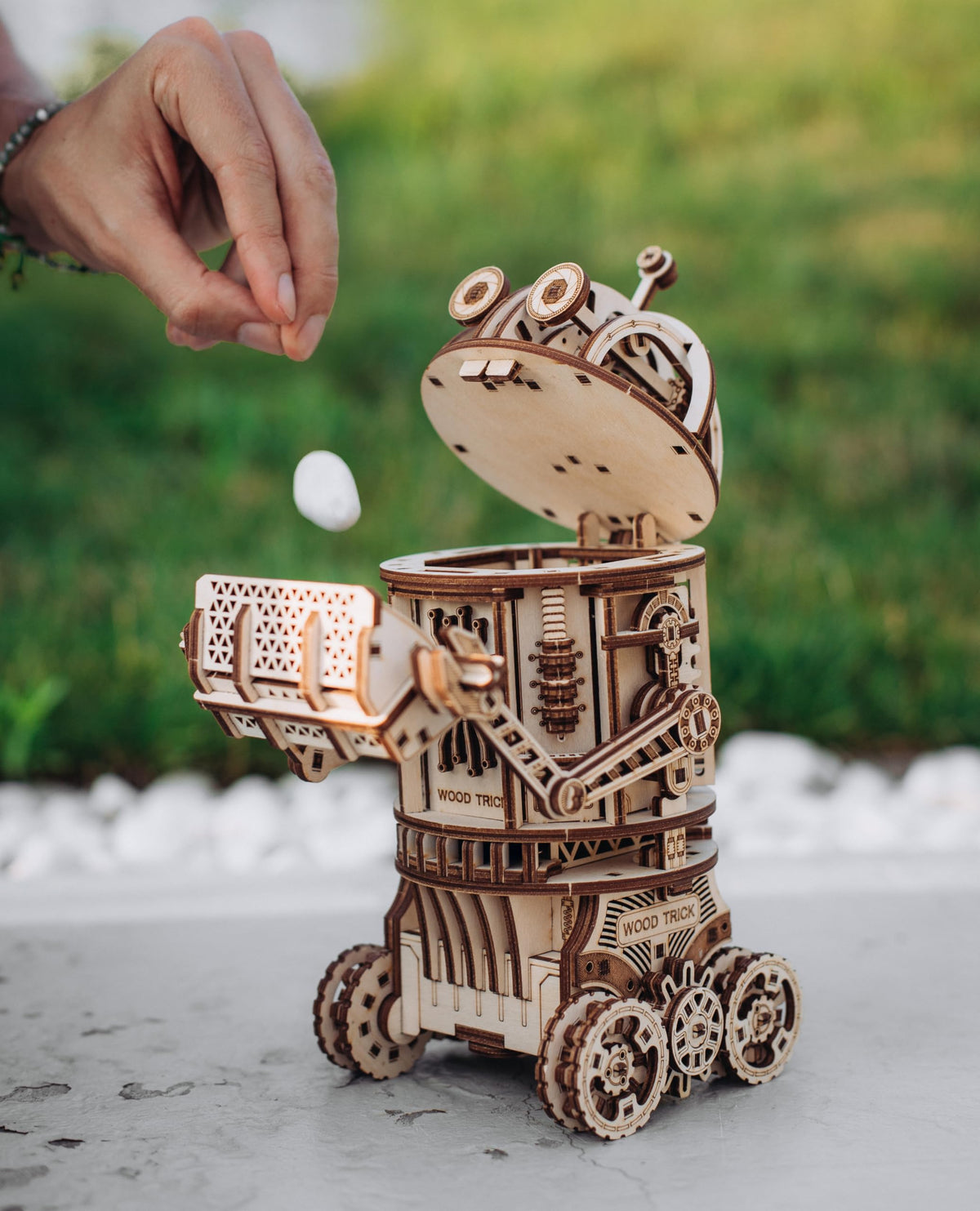 3D Wooden Puzzle V395