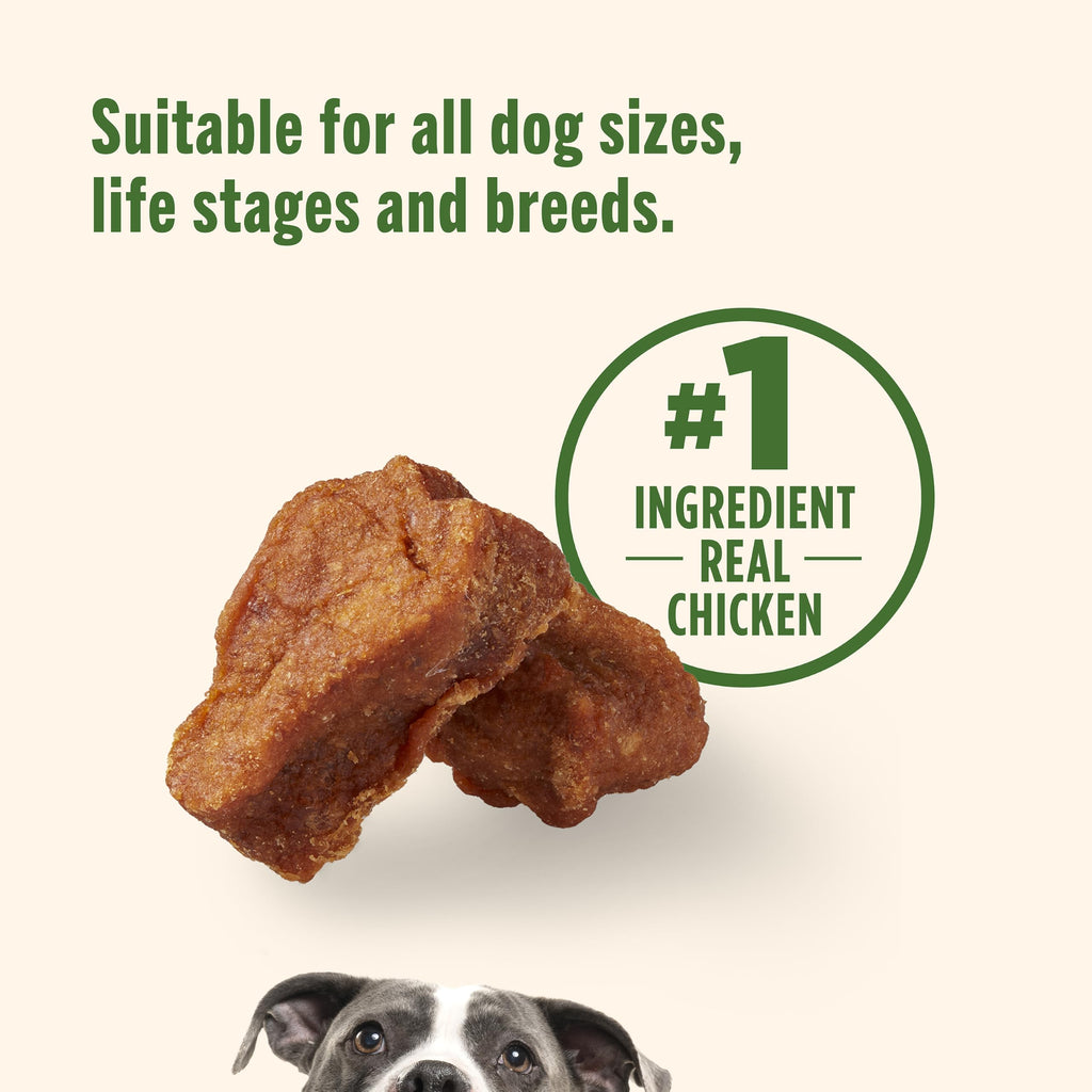Chicken Dog Treats 30 oz Pouch R4923