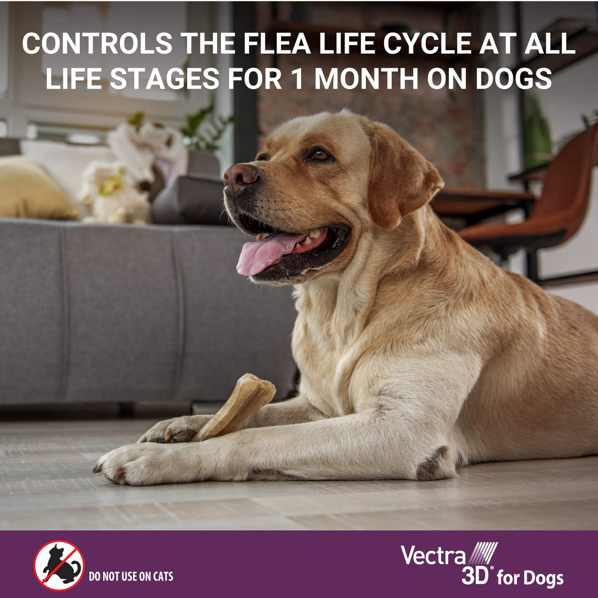 Flea and Tick Prevention for Extra Small Dogs 5-10 lbs K90618