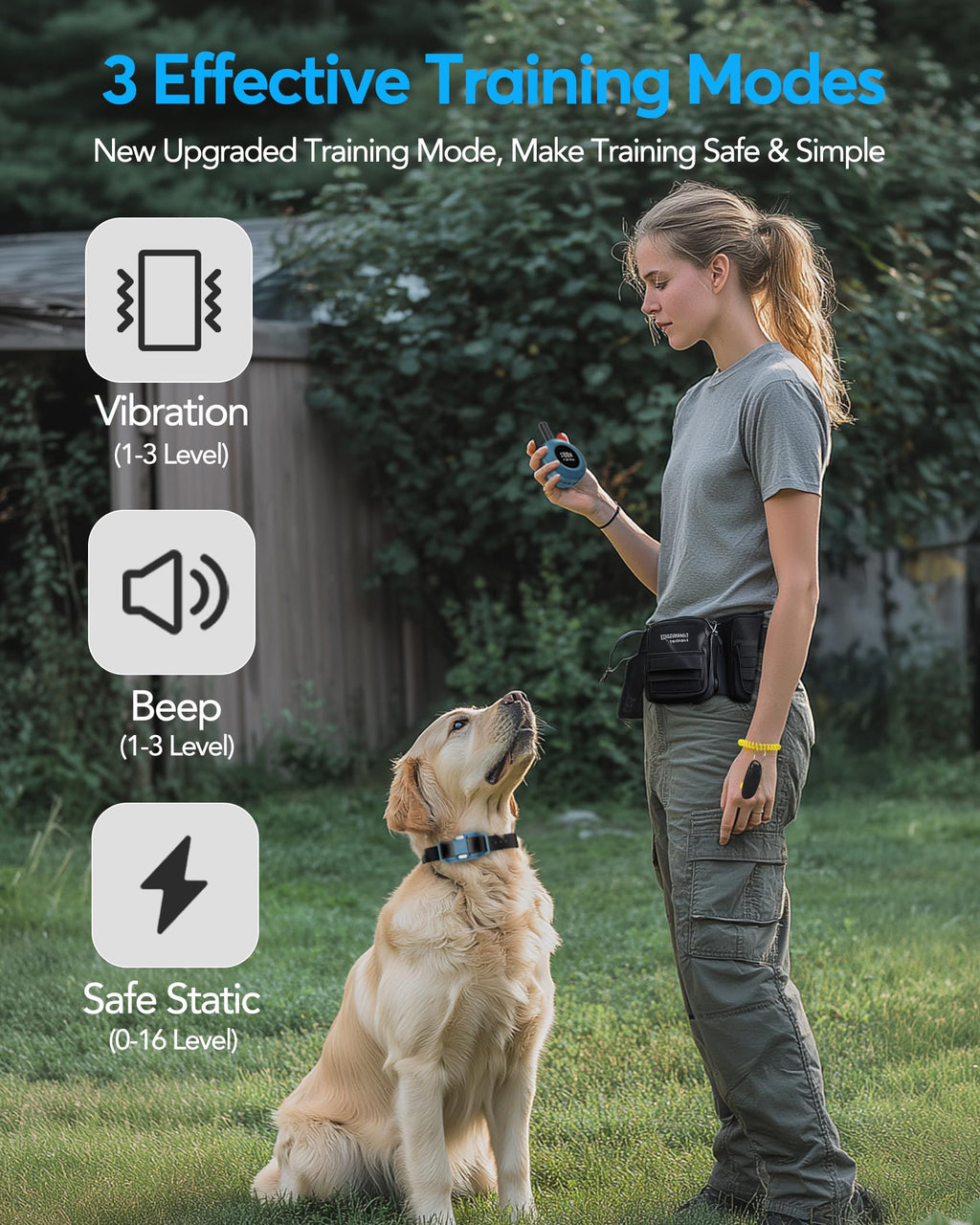Dog Training Collar with Remote P353086