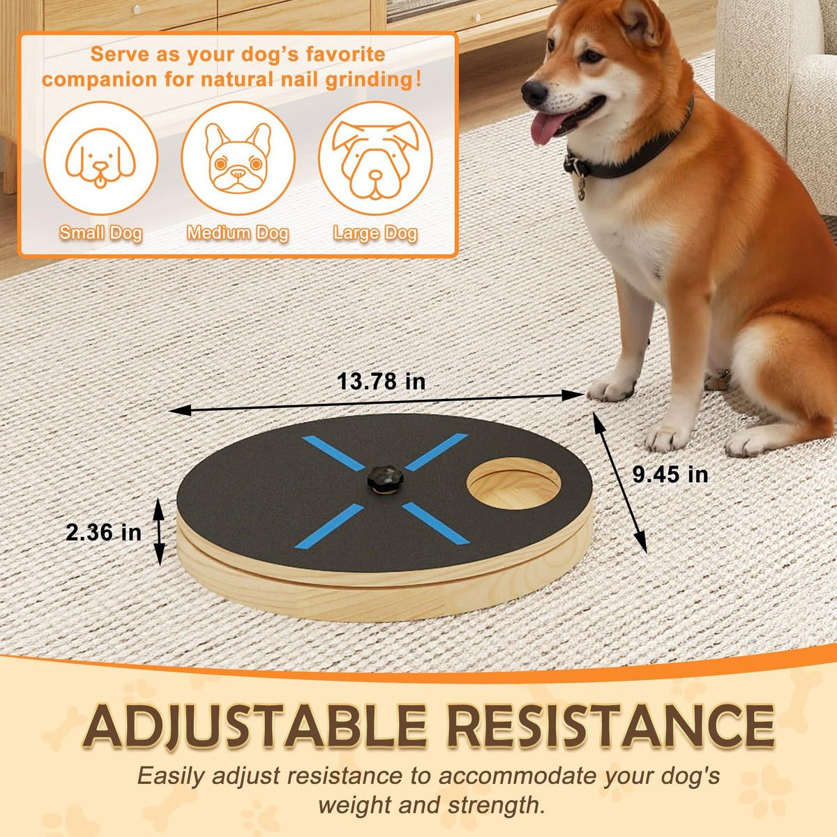 Dog Nail Scratcher Board with Treat Box U5322