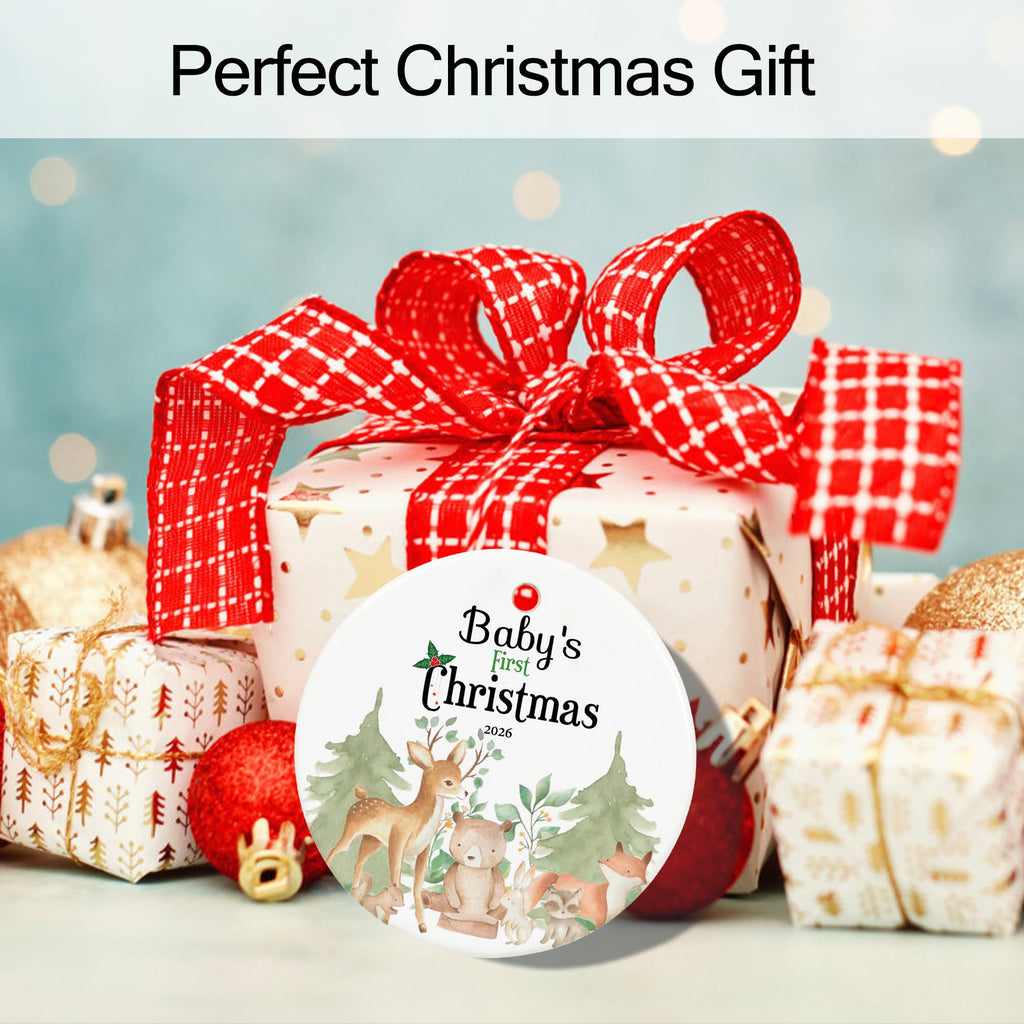Baby's First Christmas Ornament 2026 O630970