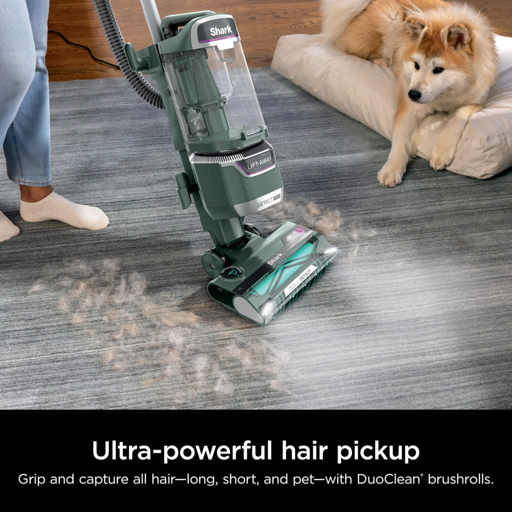 Evergreen Cordless Vacuum A916