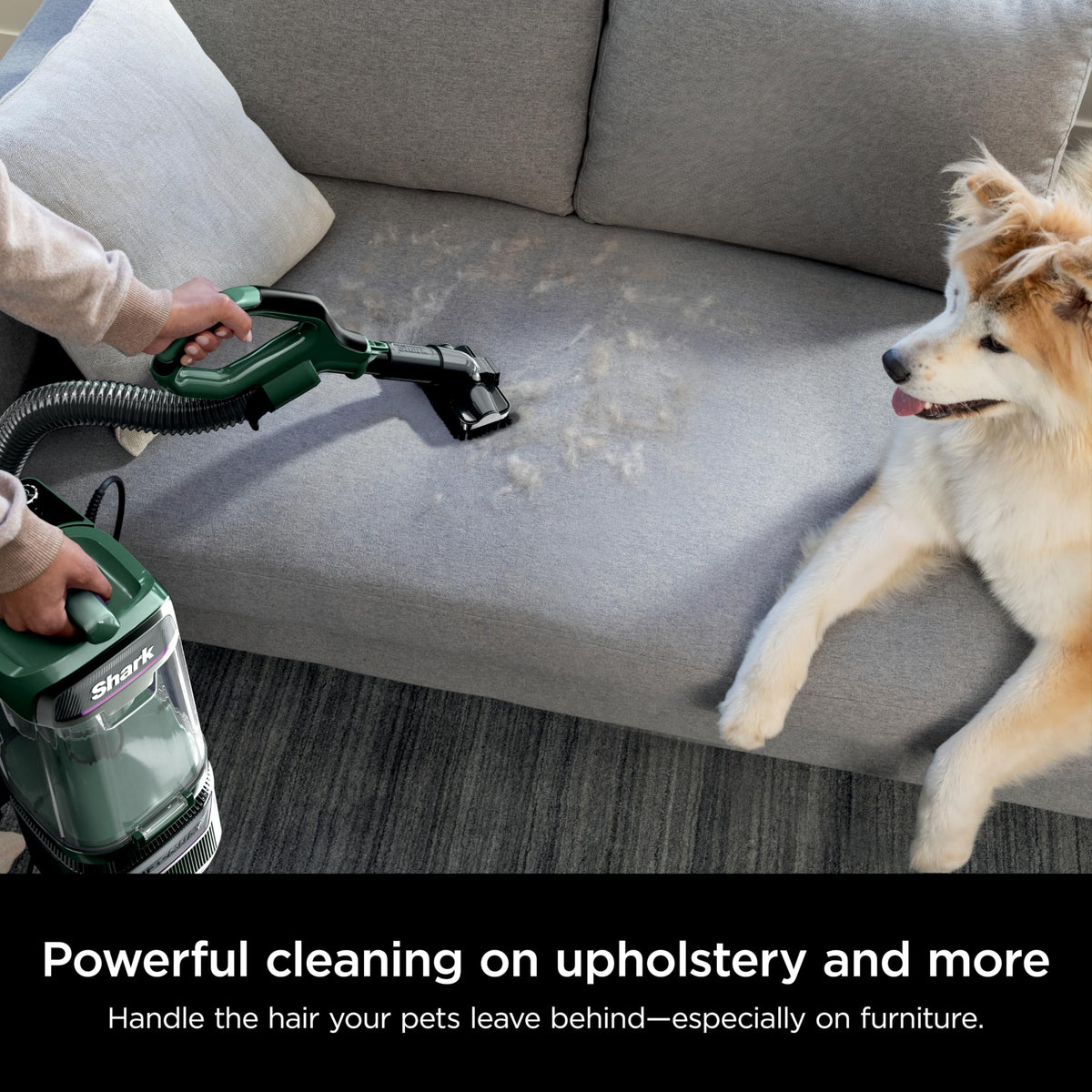 Evergreen Cordless Vacuum A916