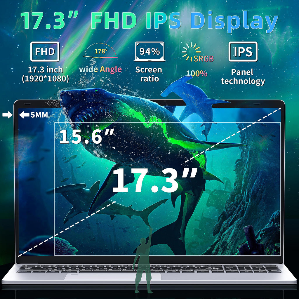 17.3" FHD IPS Business Laptop Computer, Silver K117612