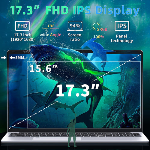 17.3" FHD IPS Business Laptop Computer, Silver K117612